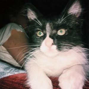 Meet your Posher, Debo